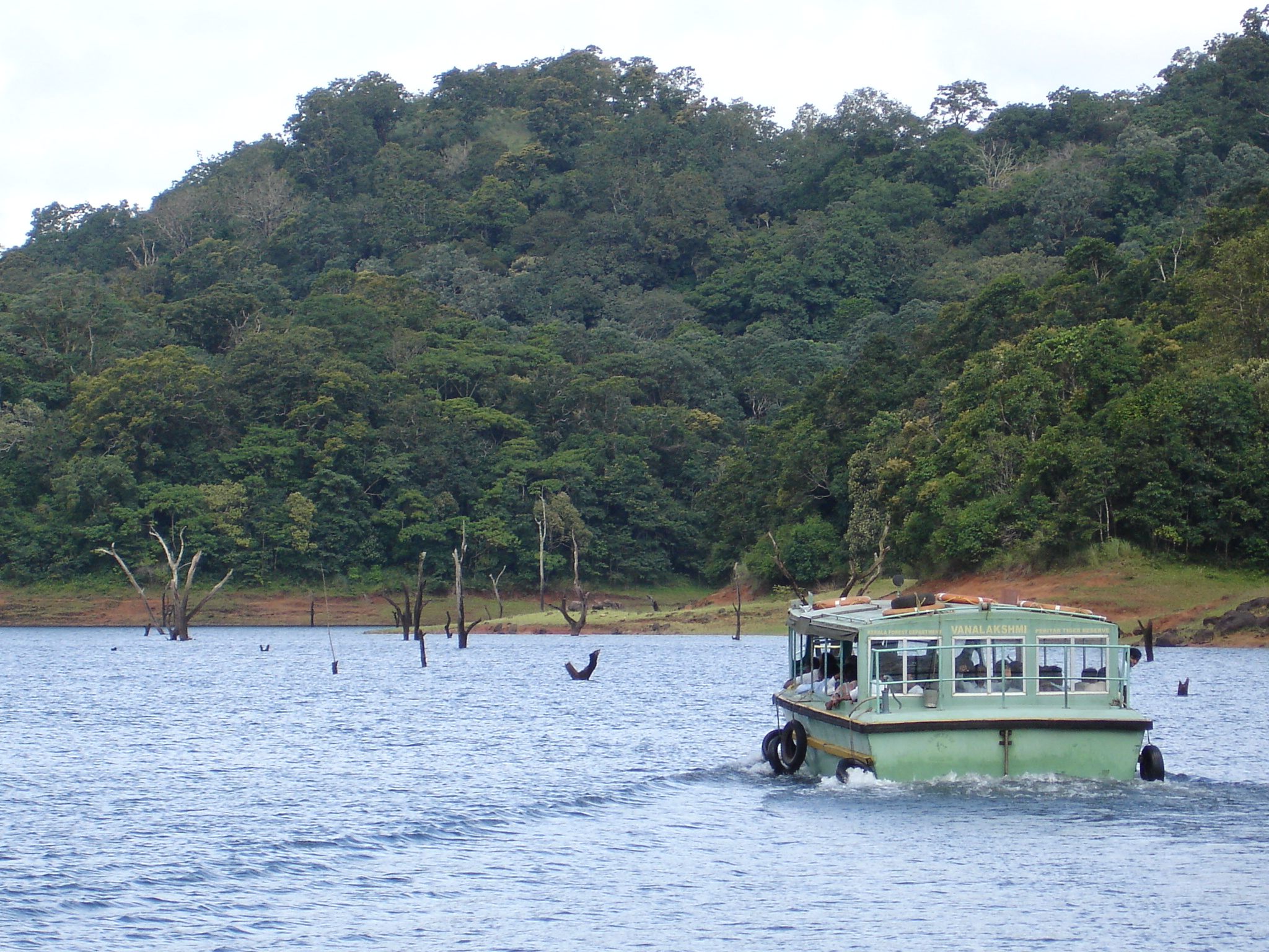 Periyar National Park - 2